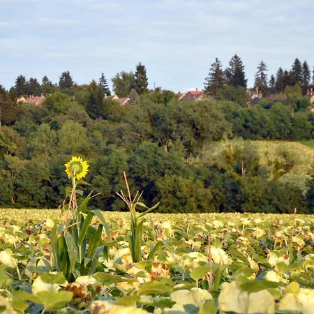 Jacuzzi, Hot Tub, And Sauna Retreat Near Heviz Apartment *